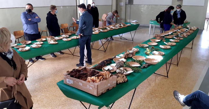 Segni-64-Sagra-del-Marrone-Segnino-2021-12