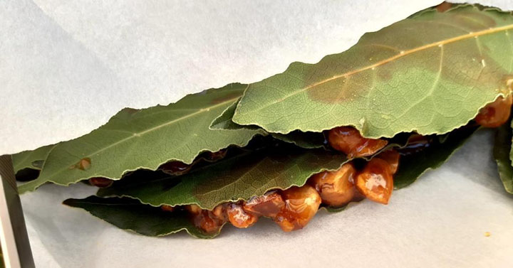 Segni-64-Sagra-del-Marrone-Segnino-2021-6