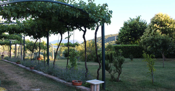 Segni-Concerto-trio-archi-Perugia-12