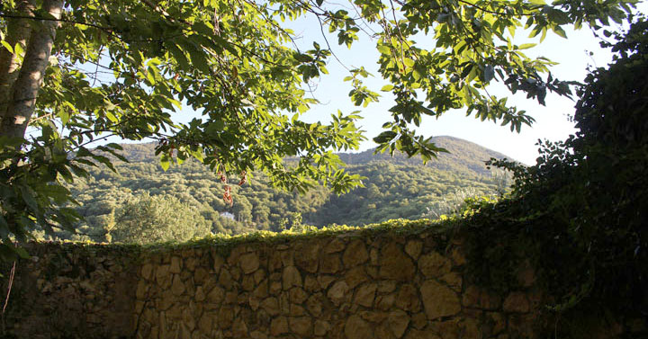 Segni-Concerto-trio-archi-Perugia-15