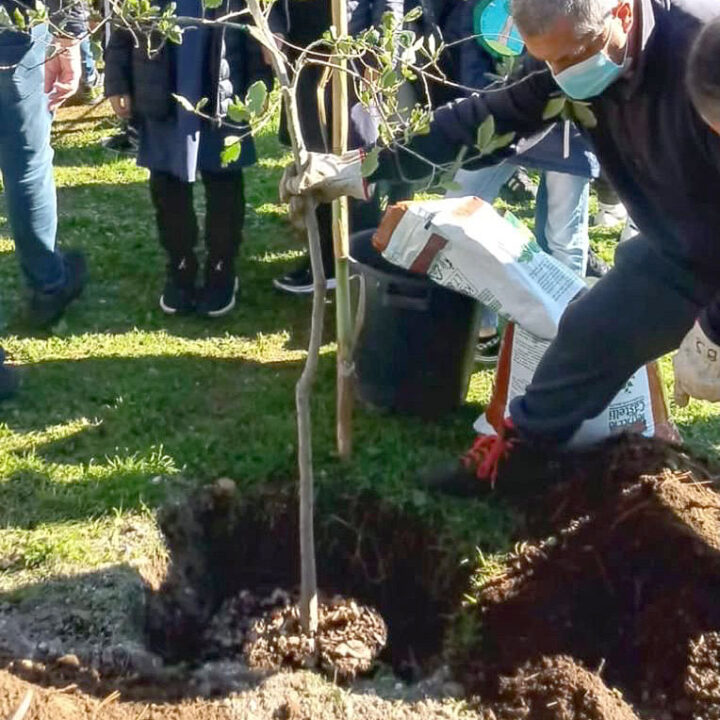 Segni-Progetto-Ossigeno-20211208-q-04