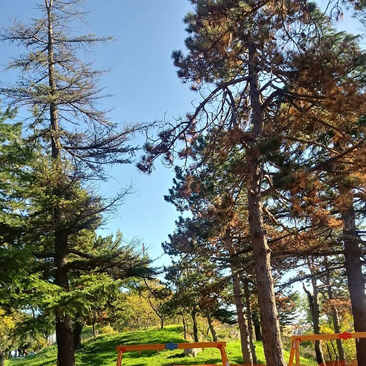 Segni-Progetto-Ossigeno-20211208-q-05