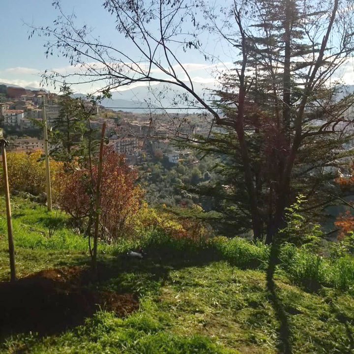 Segni-Progetto-Ossigeno-20211208-q-06