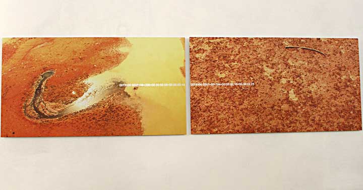 Valmontone-inaugurazione-mostra-microcosmo-35