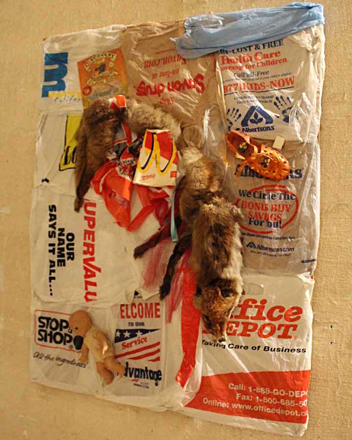 Valmontone-inaugurazione-mostra-microcosmo-v-15