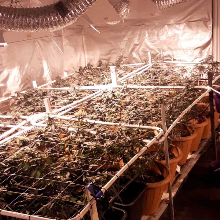 c7b0fd8e-8cc1-4446-8f9d-9dca81564972