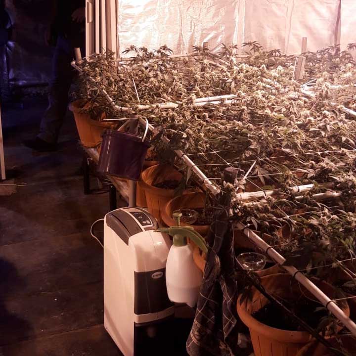 e8bf6e49-e396-488d-b167-3c95cdf2fa7e