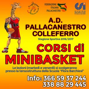 basket-630
