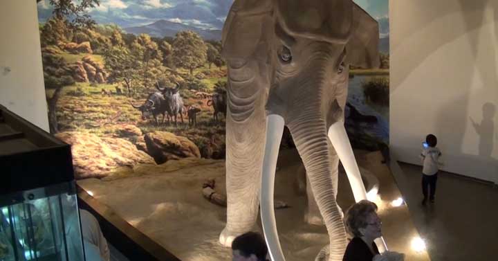 Colleferro-Inaugurazione-museo-archeologico-2018-04