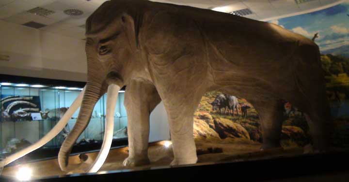 Colleferro-Inaugurazione-museo-archeologico-2018a-04