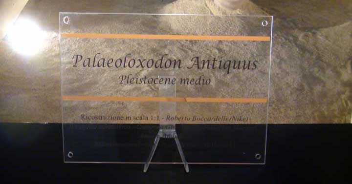 Colleferro-Inaugurazione-museo-archeologico-2018a-05