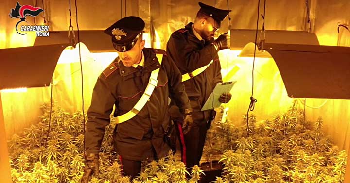 CC-piantagione-Acilia-01