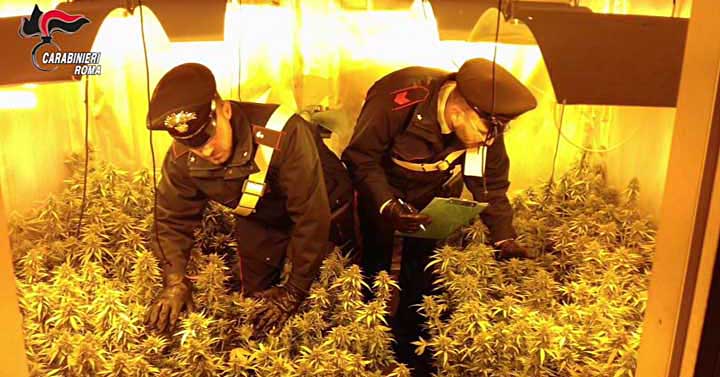 CC-piantagione-Acilia-02