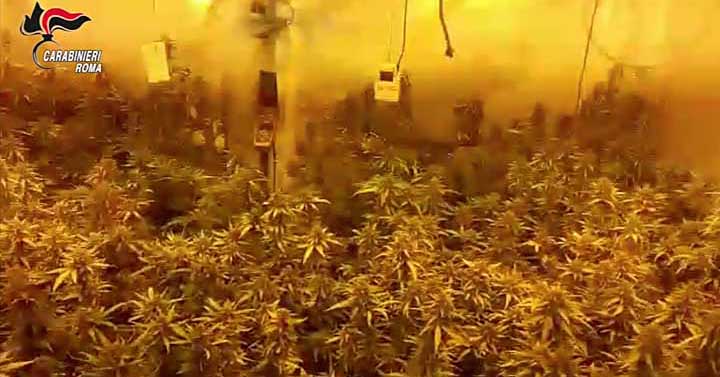 CC-piantagione-Acilia-03