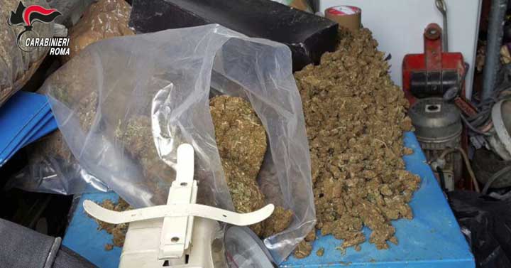 FRASCATI - Le armi e la droga sequestrata-04f