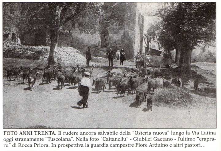 Hosteria Nuova Anni '30 con pastori e bestiame rudere salvabile foto di Mario Vinci