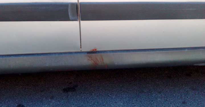 Colleferro-investimento-anziano-20190702-04