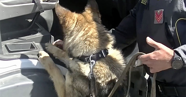 Sequestro-droga-Civitavecchia-02