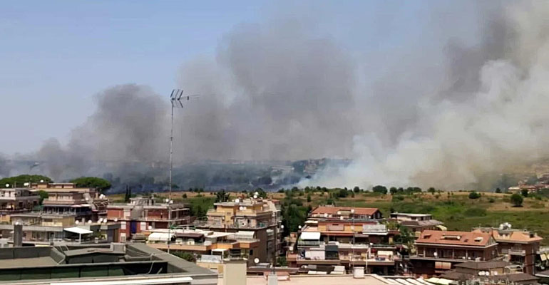 Incendio-Pineta-Sacchetti-03