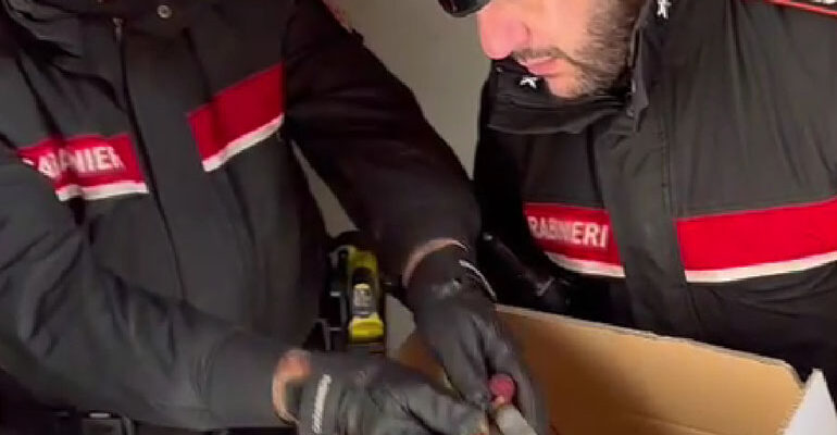 OSTIA - Le cartucce sequestrate dai Carabinieri (2)-770