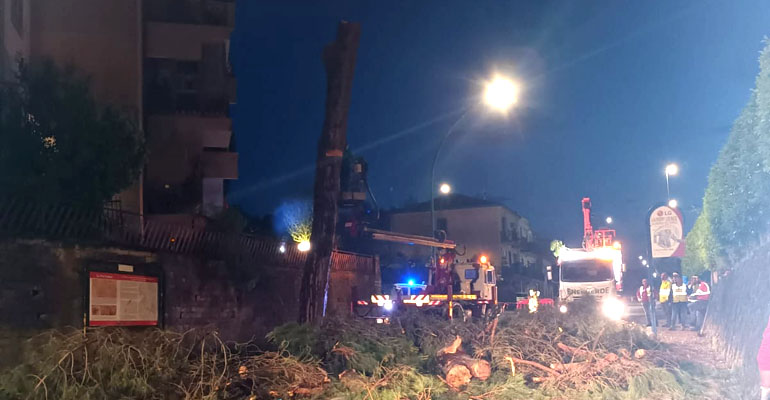 Chiusa-Via-Latina-alberi_pericolanti-2-20230529-03