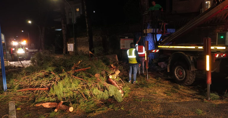 Chiusa-Via-Latina-alberi_pericolanti-2-20230529-05