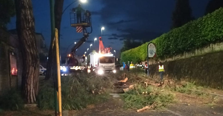 Chiusa-Via-Latina-alberi_pericolanti-2-20230529-06