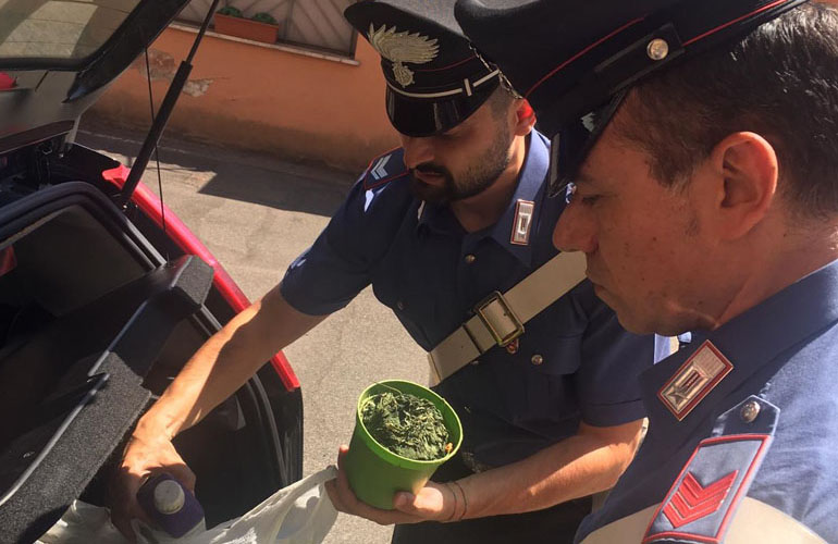 PROVINCIALE - Parte della droga sequestrata dai Carabinieri (3)