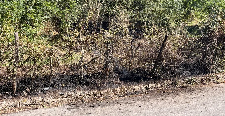 Colleferro-incendi-20230812-f2