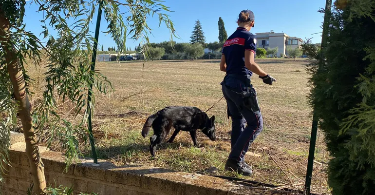 CIVITAVECCHIA - Le attività dei Carabinieri (3)-f