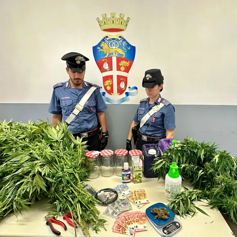 PROVINCIALE - Parte della droga sequestrata dai Carabinieri (1)-q
