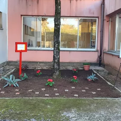 Segni-Liceo_Scienze_Umane-Giardino_Giusti-10f