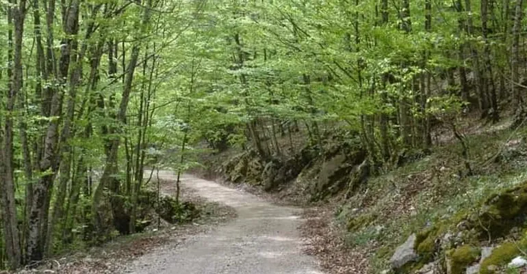 Carpineto_Romano-Trekking_inclusivo-4