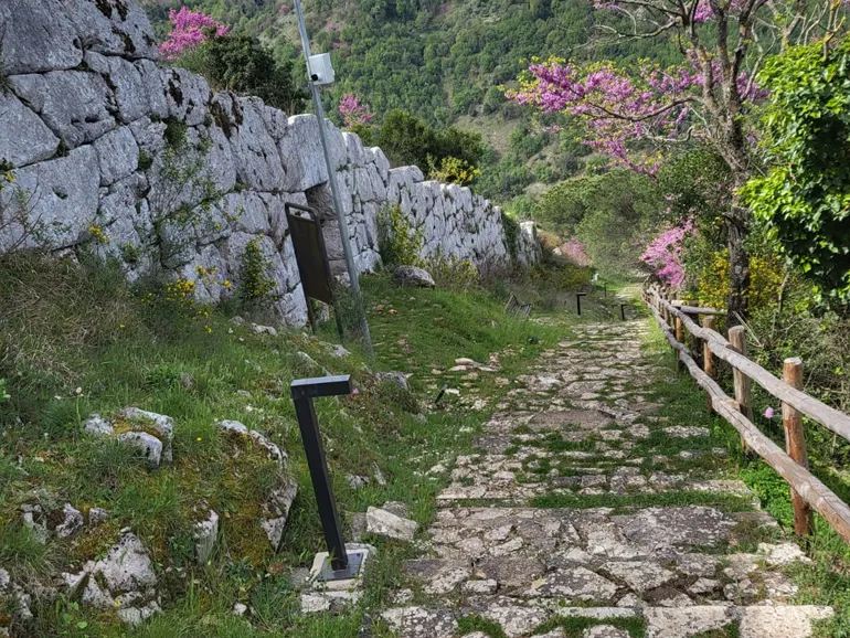 Colleferro-Scuola-Carlo_Urbani-gita-a-Segni-11