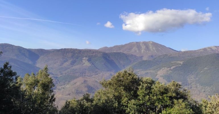 80_Anniversario_Battaglia-6