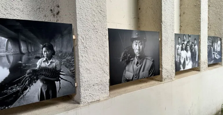 Colleferro-festival-Internazionale-della-Fotografia-Cosmo-3