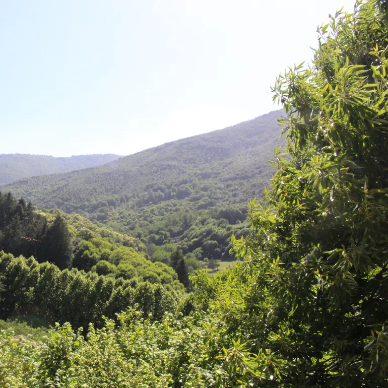 Montelanico-Inaugurazione_Biblioteca-2