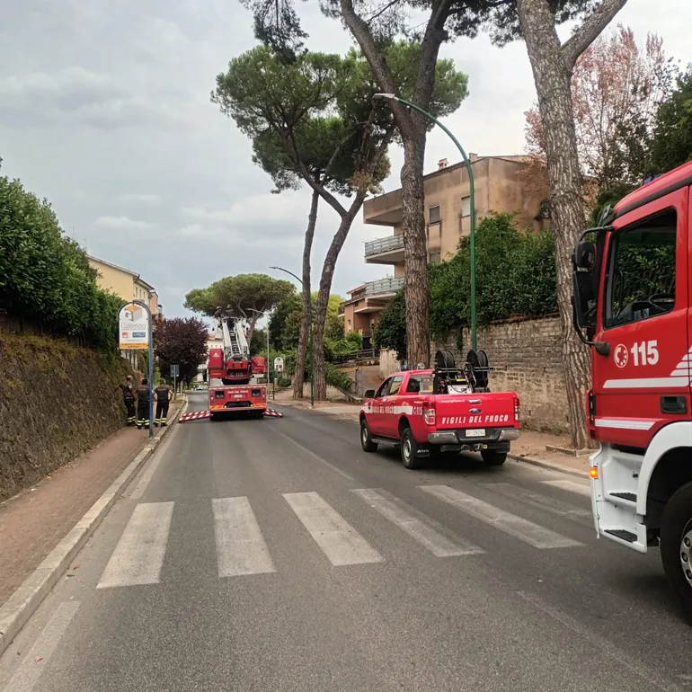 Colleferro-ramo_pericolante-Via_Latina-Vigili_del_Fuoco-Polizia_Locale-02