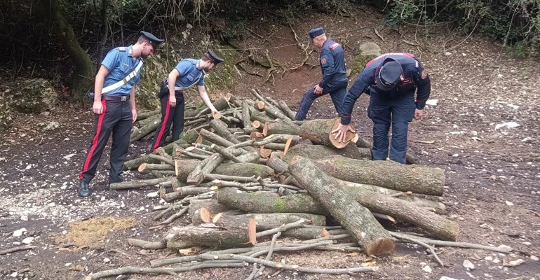 COLLEFERRO – I Carabinieri intervenuti (1) f