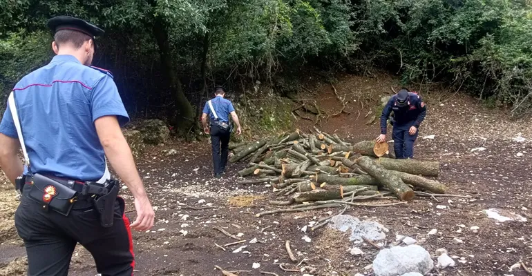 COLLEFERRO – I Carabinieri intervenuti (2) f