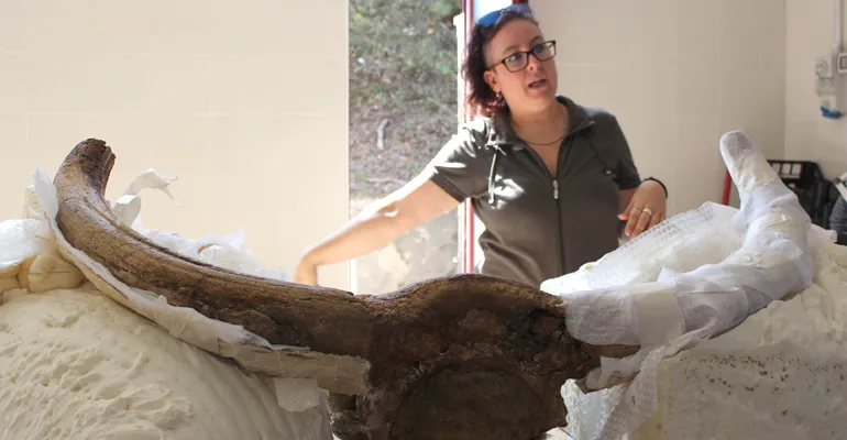 MuseumGrandTour-Colleferro-Artena-f-13