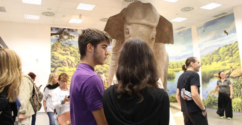 MuseumGrandTour-Colleferro-Artena-f-3