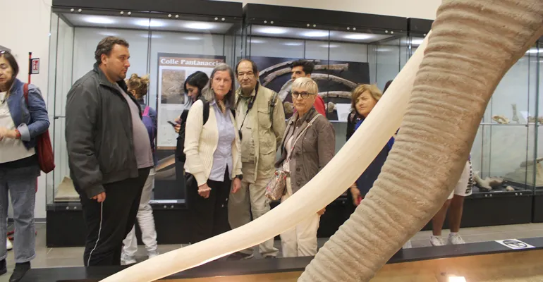 MuseumGrandTour-Colleferro-Artena-f-5