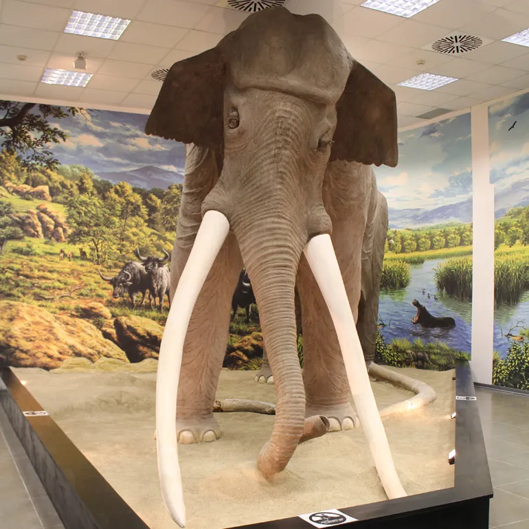 MuseumGrandTour-Colleferro-Artena-q-3