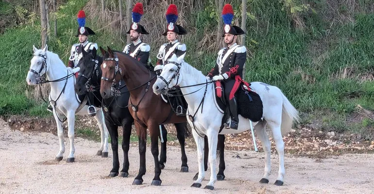 90_Collefderro-Carosello_Storico_Carabinieri_a_Cavallo-f-33