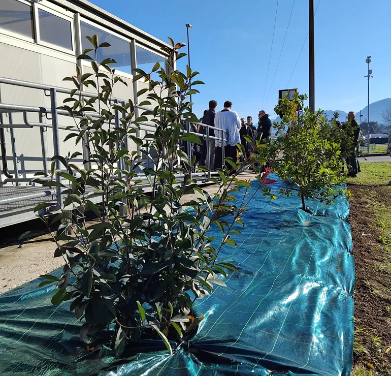 Colleferro-Festa-dell_albero-IVKm-2024-7