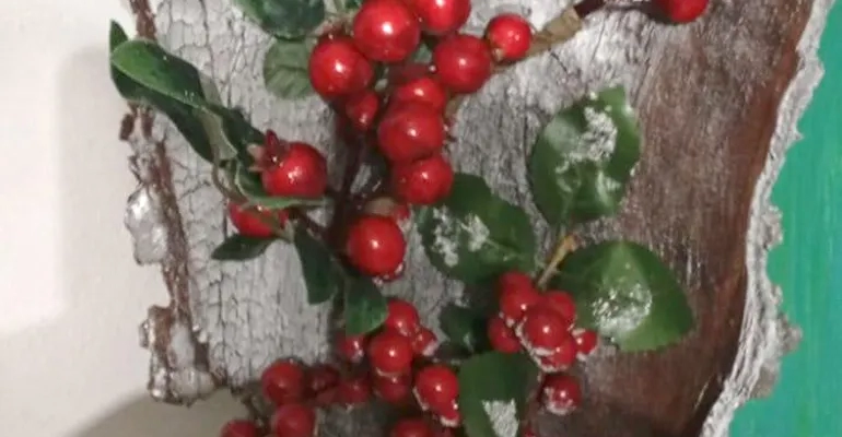 Colleferro-Sonia_Quattrociocchi-materiali_di_scarto-770-12