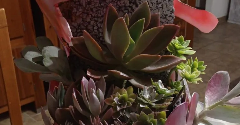 Colleferro-Sonia_Quattrociocchi-materiali_di_scarto-770-8