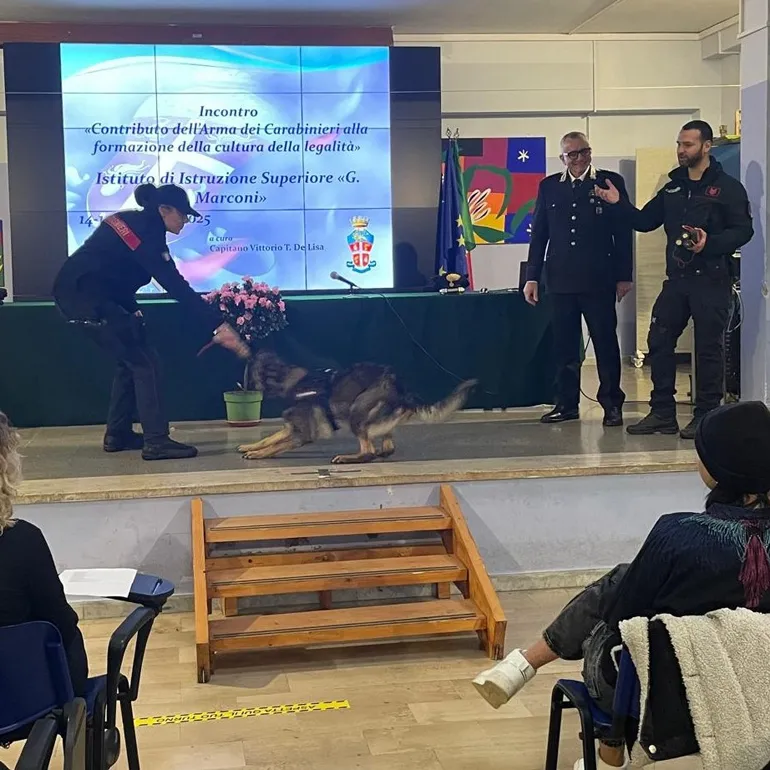 COLLEFERRO – Carabinieri incontrano gli studenti (8)
