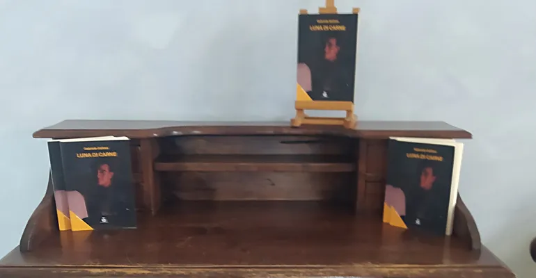 Anagni-libro-Luna_di_Carne-12